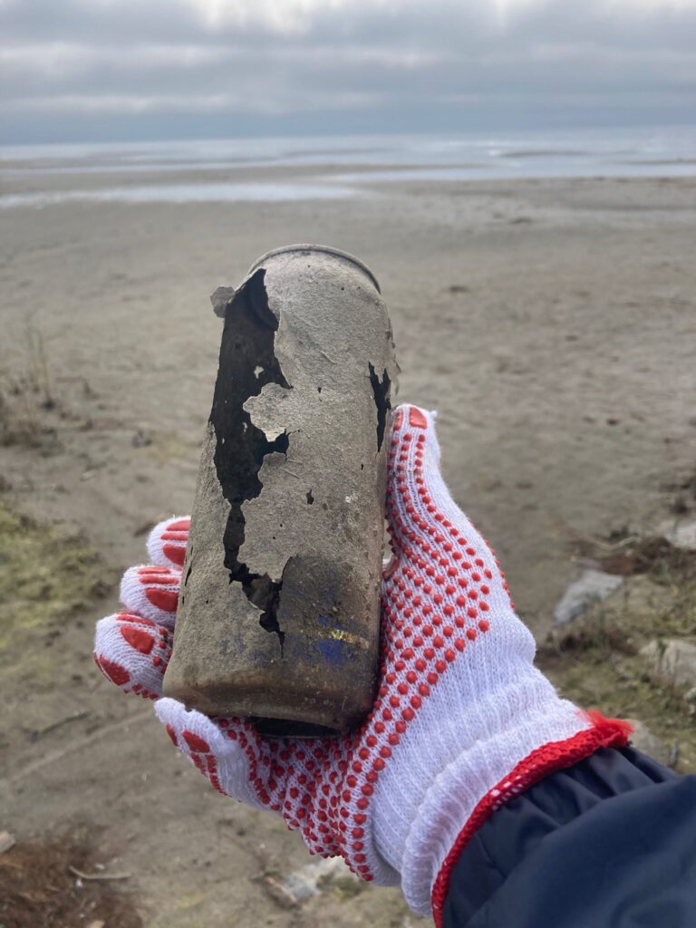 WhatsApp Image 2024-11-13 at 15.33.19